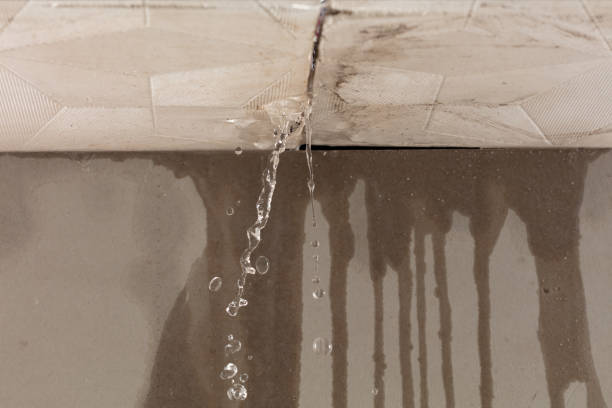 Professional Structural Drying technician working in Reese, MI